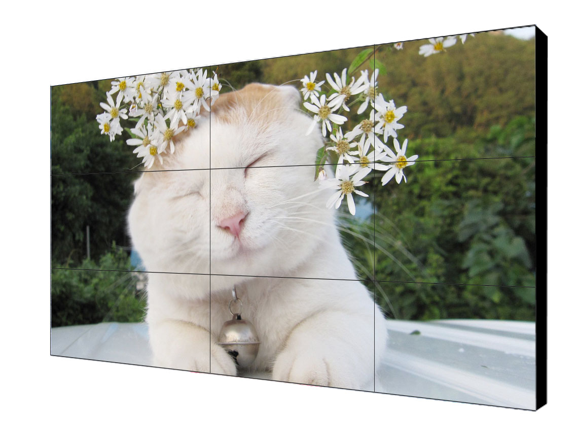 1573034993571030.jpg 15.jpg